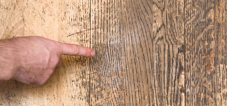 Wood Door Scratch Repair in Atherton